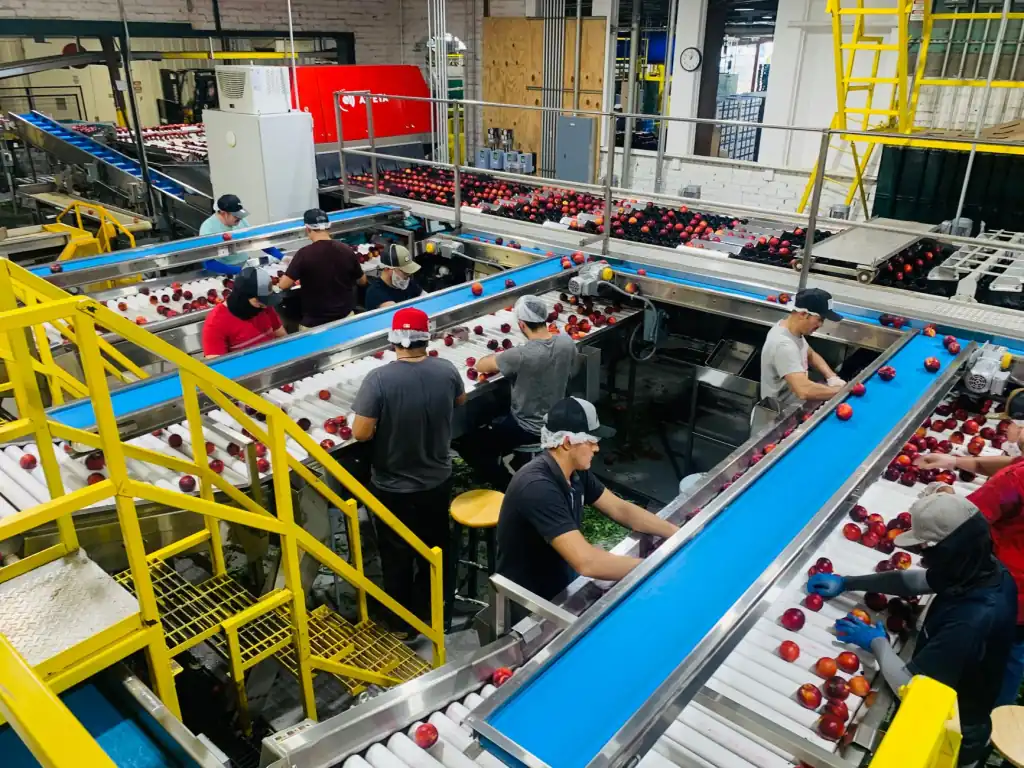 2025年日用百货批发市场洗化用品与纸制品供需趋势分析