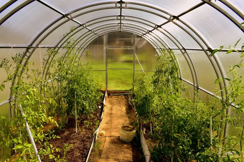 洗化用品流通环节质量管控技术规范与实操指南